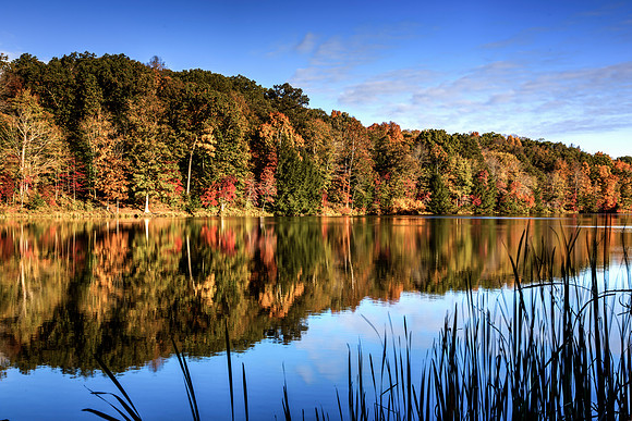 Fall Foliage Along Rose Lake, Hocking Hills, Ohio by Don Holycross of Hocking Hills Photography, Logan, Ohio