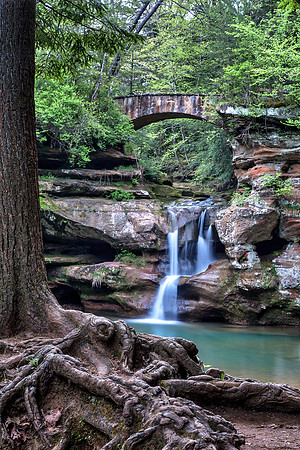 Roots at the Upper Falls at Old Man's Cave, Hocking Hills State Park, Ohio by Don Holycross of Hocking Hills Photography, Logan, Ohio