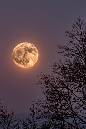 Thanksgiving Full Moon Rising at John Glenn Astronomy Park by Don Holycross of Hocking Hills Photography, Logan, Ohio