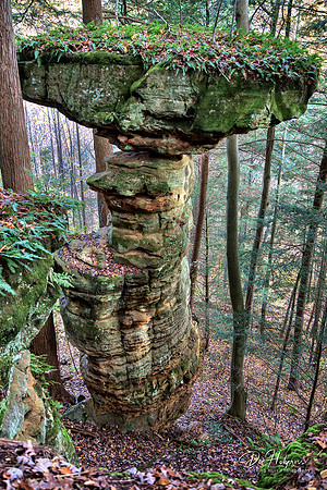 Table Top Rock in the Hocking State Forest (Ohio) by Don Holycross of Hocking Hills Photography, Logan, Ohio