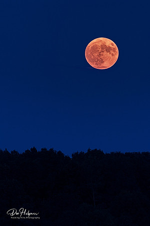 Harvest Moon Above the Trees in Vinton County by Don Holycross of Hocking Hills Photography, Logan, Ohio