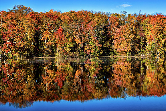 Fall Foliage Along Lake Logan in the Hocking Hills by Don Holycross of Hocking Hills Photography, Logan, Ohio