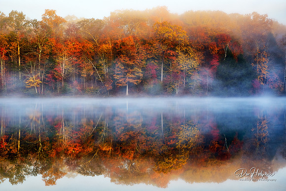 Morning Has Broken at Rose Lake - Sun Starting to Highlight Trees Through the Fog by Don Holycross of Hocking Hills Photography, Logan, Ohio