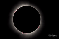 Solar Prominences (Flares) During Solar Eclipse in Ohio (Composite Photo) by Don Holycross of Hocking Hills Photography, Logan, Ohio