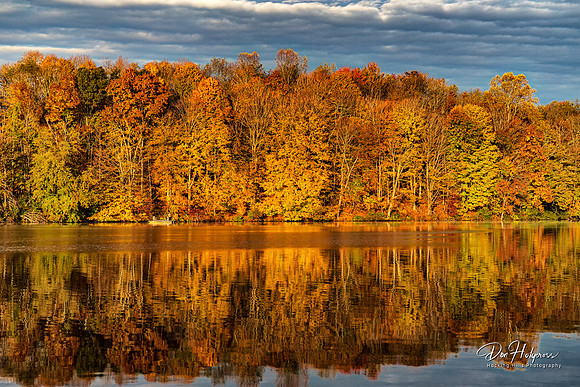 Golden Morning on Lake Logan