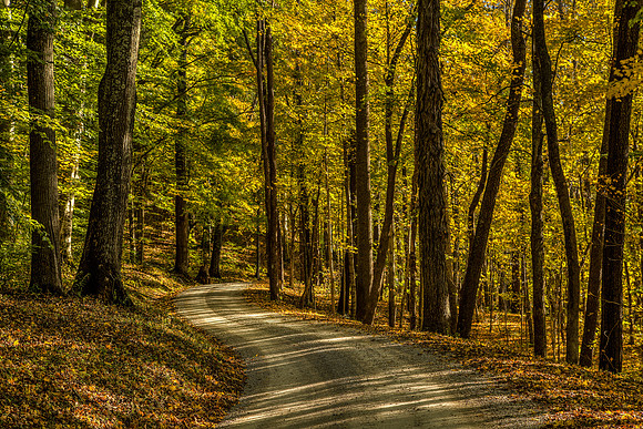 Path Through the Fall Woods, Hocking Hills, Ohio by Don Holycross of Hocking Hills Photography, Logan, Ohio